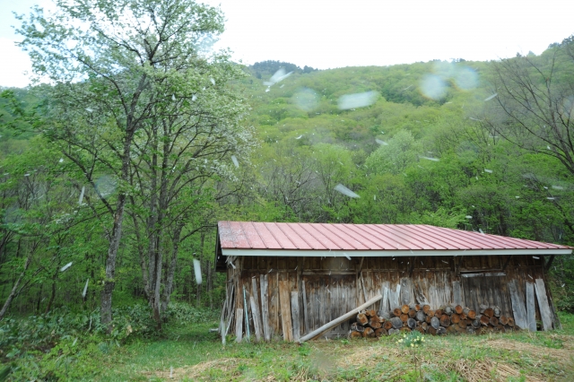 東出昌大の現在の住まいは北関東の山小屋？なぜ自給自足なのかも調査！